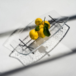 hakou-centerpiece-mason-editions-elegant-transparent-glass-table-top