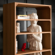 Venus Bookshelf