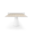 Dada Indoor Ping Pong Table