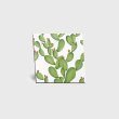 cactus-tiles-artisanal-vietri-ceramic-hand-made