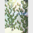 cactus-tiles-black-green-pink-hand-decorated-ceramic