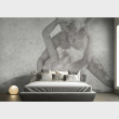 cupid-and-psyche--wallpaper-modern-living-room-bedroom-bathroom