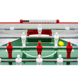 Flamingo Foosball Table