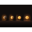 Lunae Table Lamp