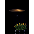 Skyfall Suspension Lamp