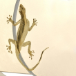 lizard-sconce-elegant-handmade-italian-lighting