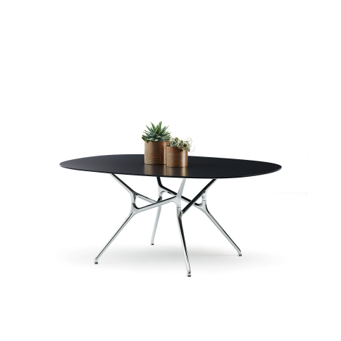 branch-table-cappellini-modern-italian-design