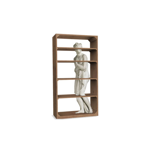 Venus Bookshelf