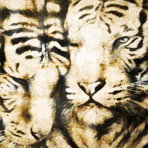 tiger-wallpaper-modern-italian-design