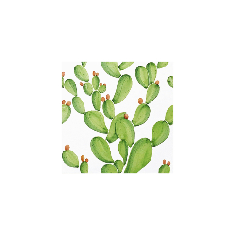 cactus-tiles-modern-contemporary-italian-design-ceramica-francesco-de-maio