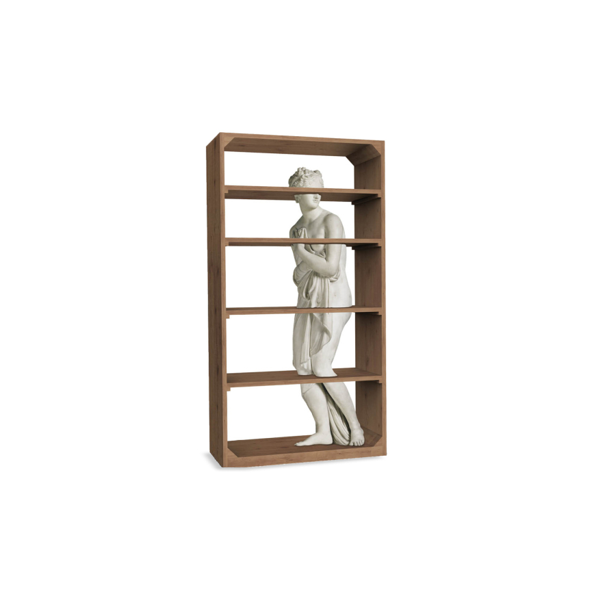 Venus Bookshelf