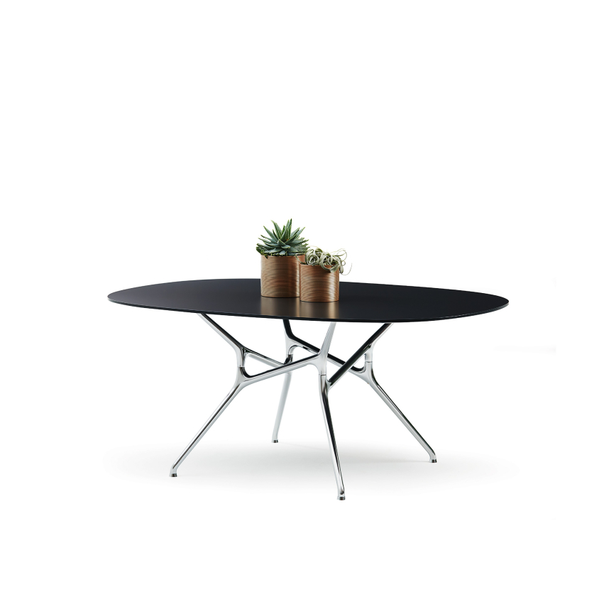 branch-table-cappellini-modern-italian-design